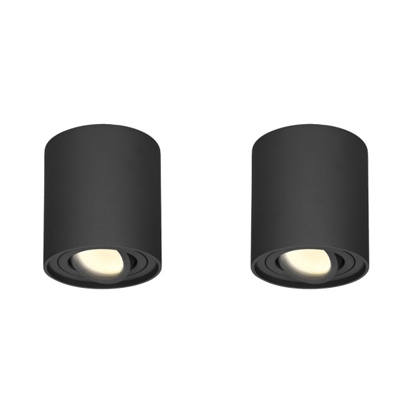 hoftronic 2x dimbare led opbouwspot plafond ray zw