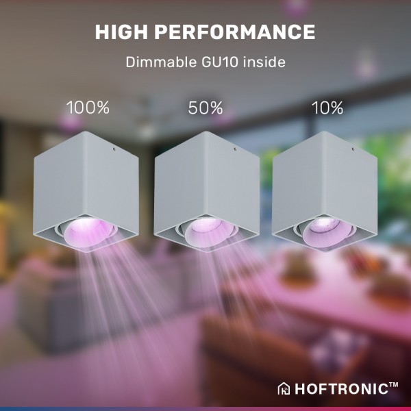 hoftronic smart smart wifi led opbouw plafondspot 3