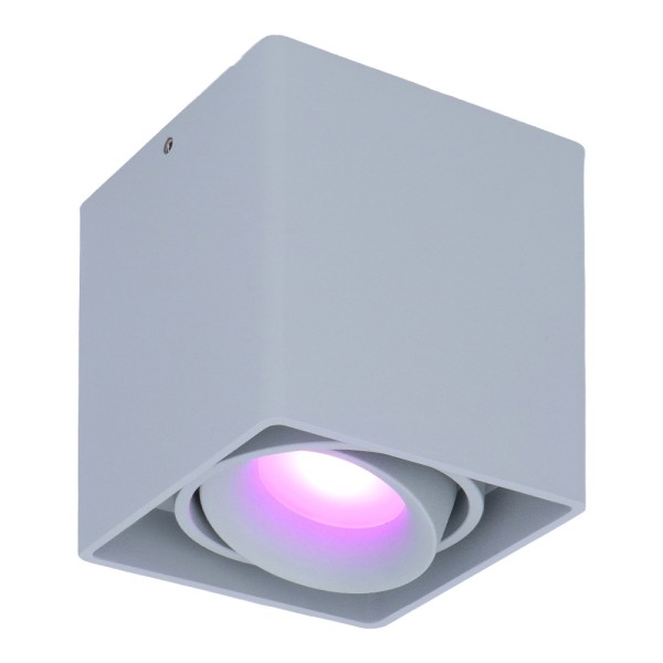 hoftronic smart smart wifi led opbouw plafondspot