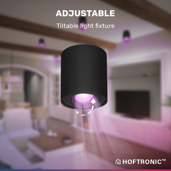 hoftronic smart smart wifi led opbouwspot plafond 5