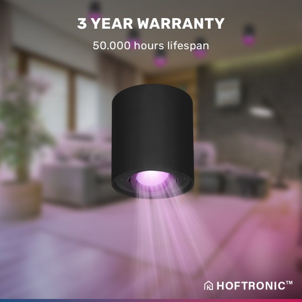 hoftronic smart smart wifi led opbouwspot plafond 7